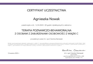 10_Certyfikat_TPBclusterC_0423_ANowak2-scaled